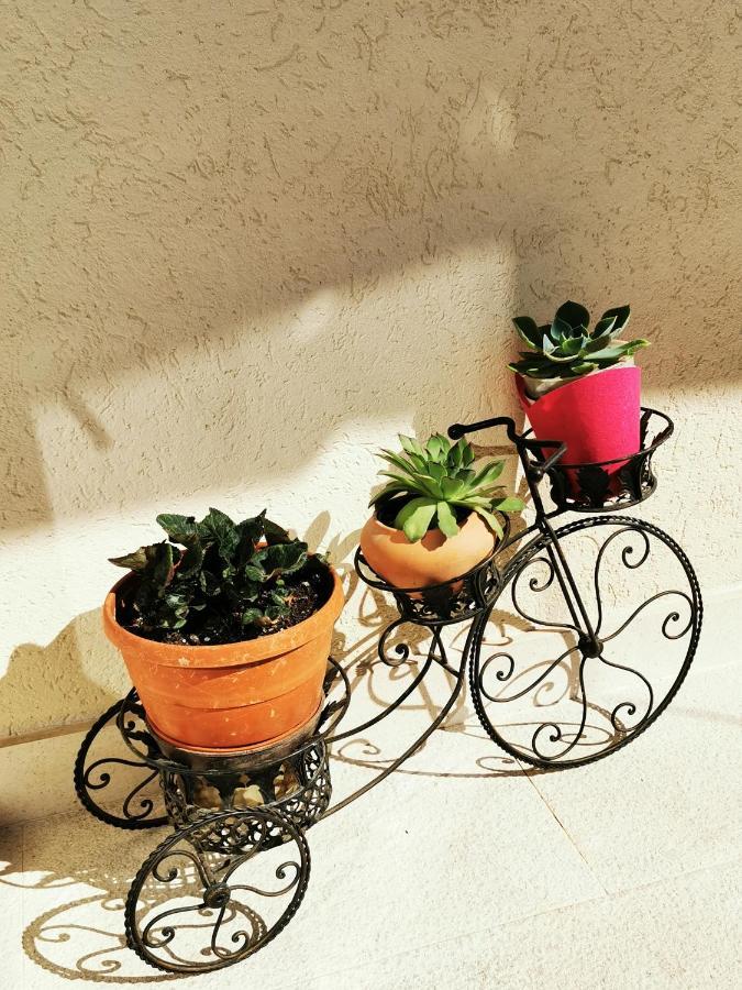 Comfort With Garage Aria Apartament *